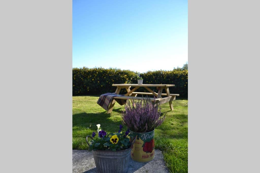 Cattle Shed Cottage Narberth Exterior foto
